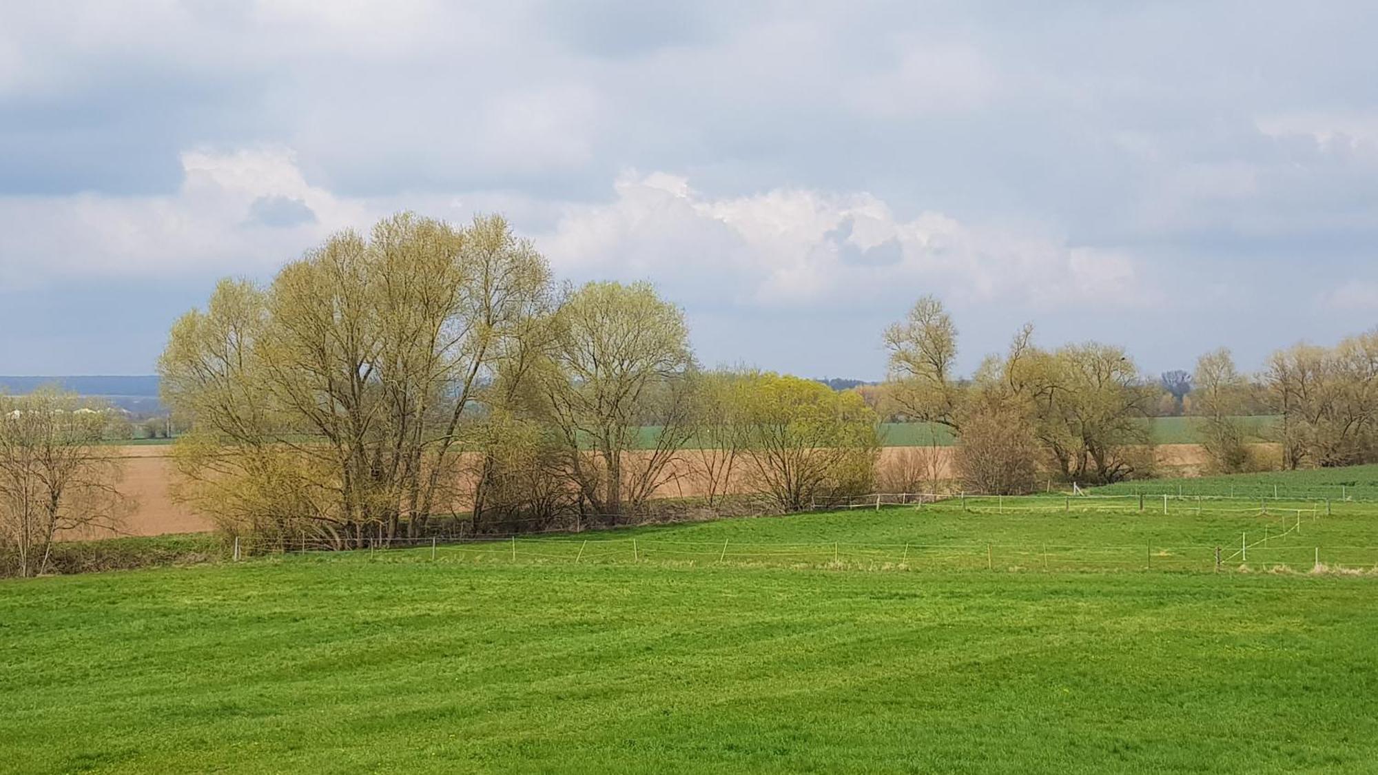 Ferienwohnung Leineufer Friedland  Exteriör bild